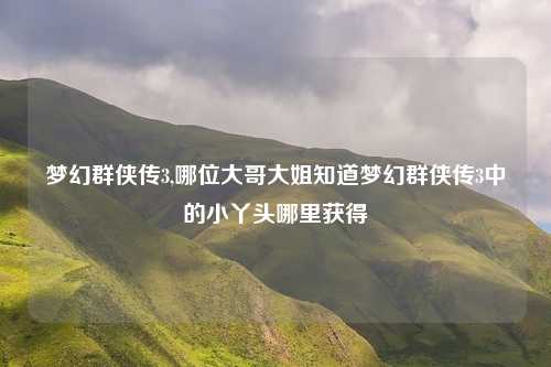 梦幻群侠传3,哪位大哥大姐知道梦幻群侠传3中的小丫头哪里获得