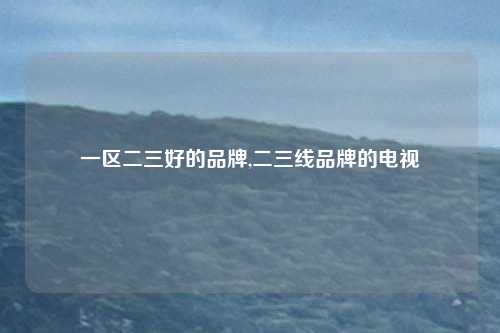 一区二三好的品牌,二三线品牌的电视