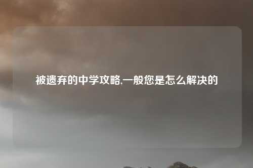 被遗弃的中学攻略,一般您是怎么解决的