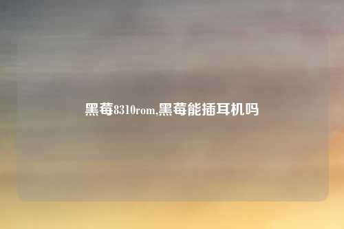黑莓8310rom,黑莓能插耳机吗