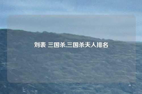 刘表 三国杀,三国杀夫人排名