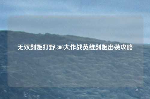 无双剑姬打野,300大作战英雄剑姬出装攻略