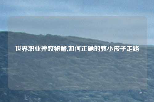 世界职业摔跤秘籍,如何正确的教小孩子走路