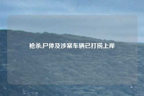 枪杀,尸体及涉案车辆已打捞上岸