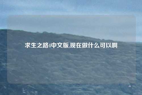 求生之路4中文版,现在做什么可以啊
