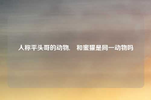 人称平头哥的动物,獴和蜜獾是同一动物吗