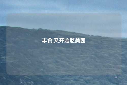 丰食,又开始怼美团