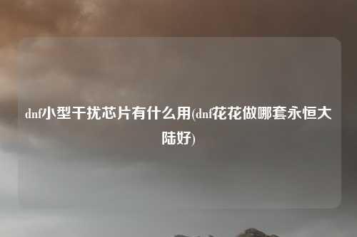 dnf小型干扰芯片有什么用(dnf花花做哪套永恒大陆好)