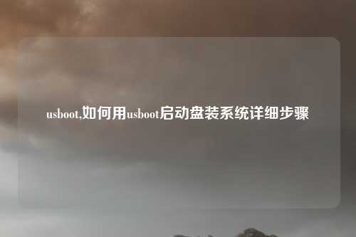 usboot,如何用usboot启动盘装系统详细步骤