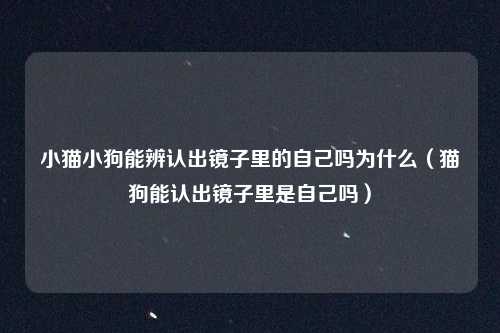 小猫小狗能辨认出镜子里的自己吗为什么（猫狗能认出镜子里是自己吗）