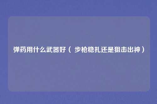 弹药用什么武器好（ 步枪稳扎还是狙击出神）