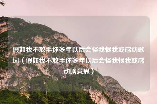 假如我不放手你多年以后会怪我恨我或感动歌词（假如我不放手你多年以后会怪我恨我或感动啥意思）