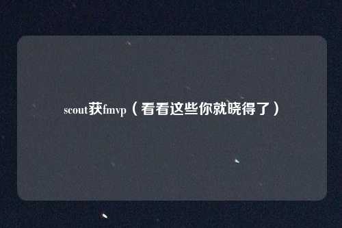 scout获fmvp（看看这些你就晓得了）