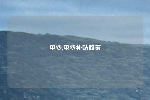 电费,电费补贴政策