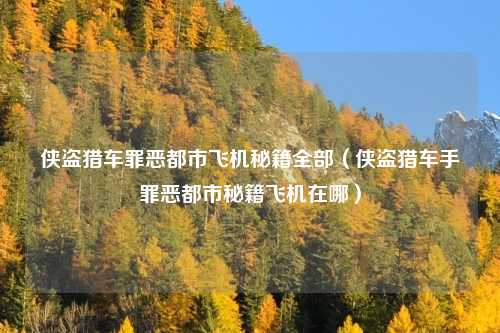 侠盗猎车罪恶都市飞机秘籍全部（侠盗猎车手罪恶都市秘籍飞机在哪）