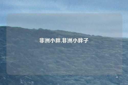 非洲小胖,非洲小胖子