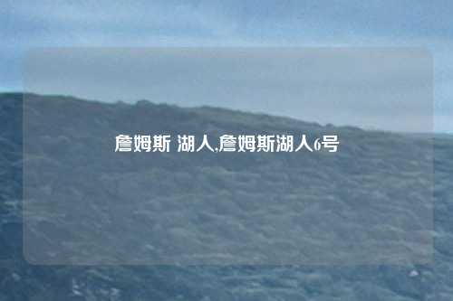 詹姆斯 湖人,詹姆斯湖人6号