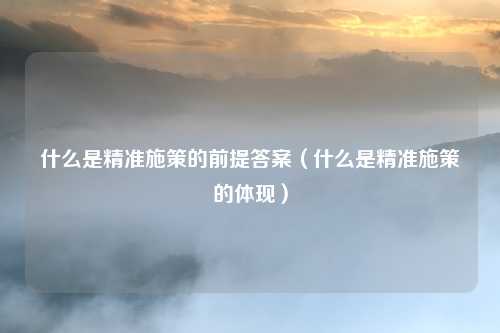什么是精准施策的前提答案（什么是精准施策的体现）