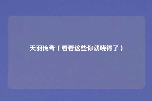 天羽传奇（看看这些你就晓得了）