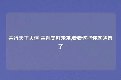 共行天下大道 共创美好未来,看看这些你就晓得了