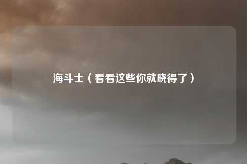 海斗士（看看这些你就晓得了）