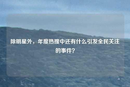 除明星外，年度热搜中还有什么引发全民关注的事件？