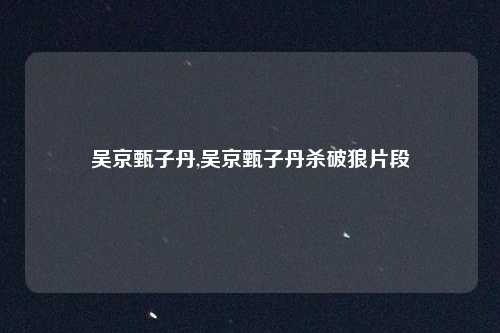 吴京甄子丹,吴京甄子丹杀破狼片段