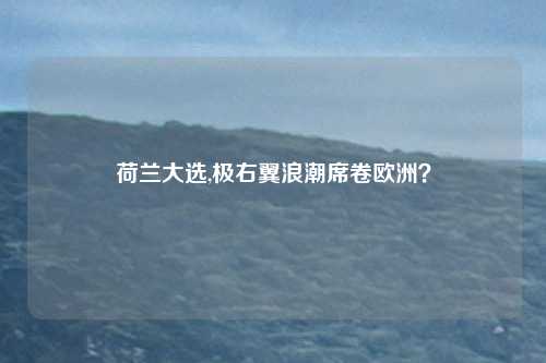 荷兰大选,极右翼浪潮席卷欧洲？