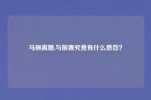 马琳离婚,与前妻究竟有什么恩怨？