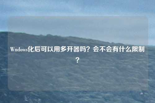 Wndows化后可以用多开器吗？会不会有什么限制？