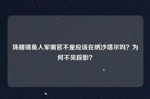 珠鳍锦鱼人军需官不是应该在纳沙塔尔吗？为何不见踪影？