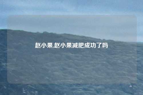 赵小果,赵小果减肥成功了吗