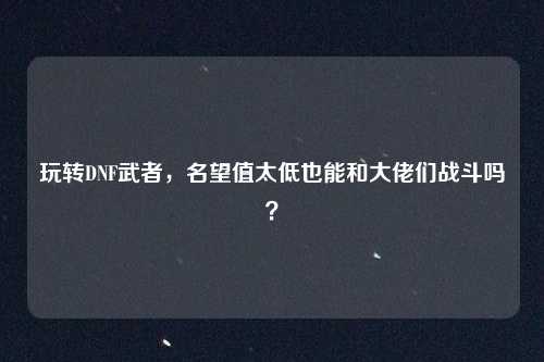玩转DNF武者，名望值太低也能和大佬们战斗吗？