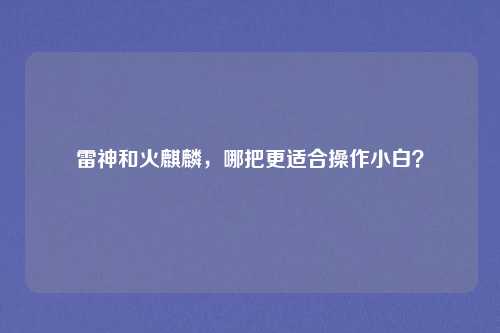 雷神和火麒麟，哪把更适合操作小白？