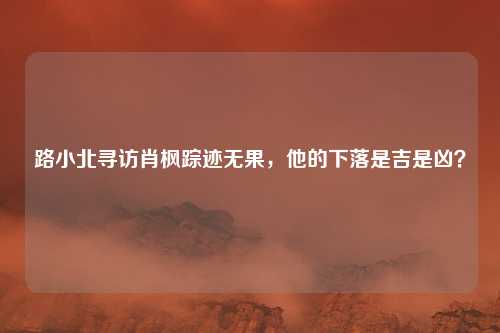路小北寻访肖枫踪迹无果，他的下落是吉是凶？