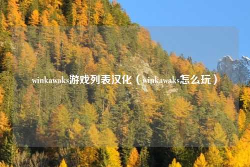 winkawaks游戏列表汉化（winkawaks怎么玩）