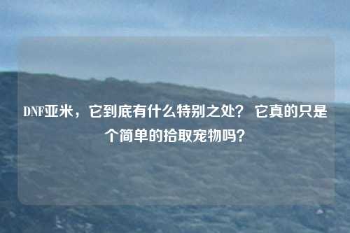 DNF亚米，它到底有什么特别之处？ 它真的只是个简单的拾取宠物吗？