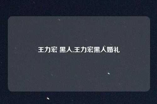 王力宏 黑人,王力宏黑人婚礼