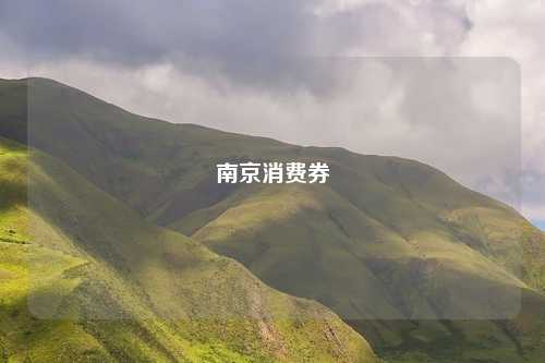南京消费券
