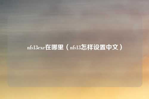 nfs13exe在哪里（nfs13怎样设置中文）