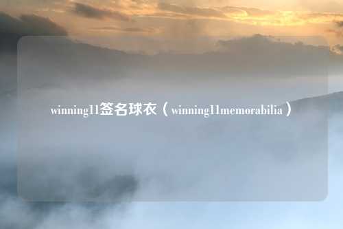 winning11签名球衣（winning11memorabilia）
