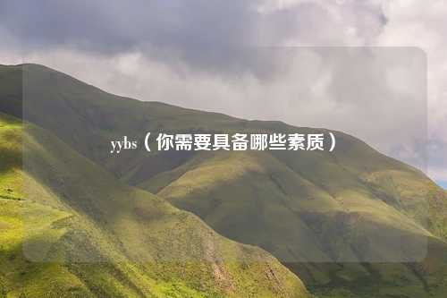 yybs（你需要具备哪些素质）