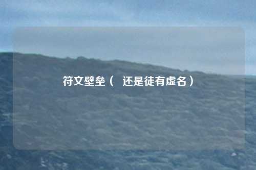 符文壁垒（  还是徒有虚名）