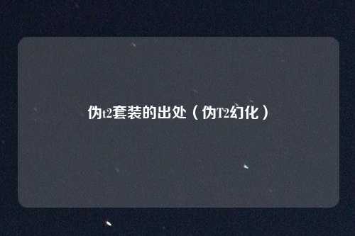 伪t2套装的出处（伪T2幻化）