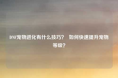 DNF宠物进化有什么技巧？  如何快速提升宠物等级？