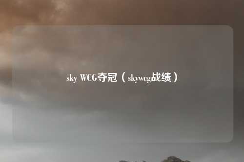 sky WCG夺冠（skywcg战绩）