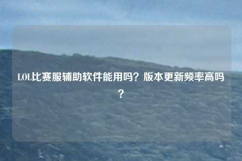 LOL比赛服辅助软件能用吗？版本更新频率高吗？