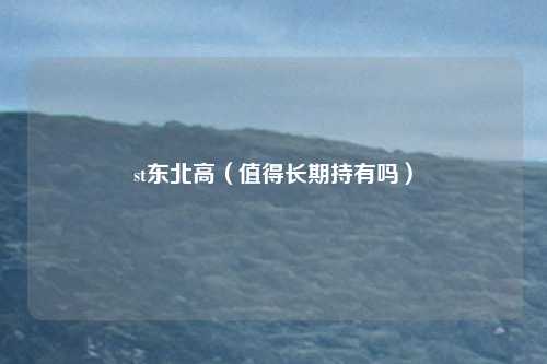 st东北高（值得长期持有吗）