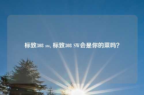 标致308 sw, 标致308 SW会是你的菜吗？