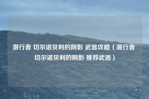 潜行者 切尔诺贝利的阴影 武器攻略（潜行者 切尔诺贝利的阴影 推荐武器）